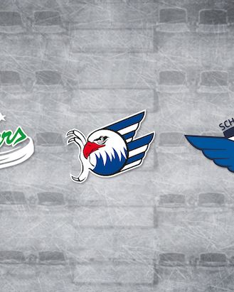 Gemeinsame Presseerklärung der DEL-Clubs aus Baden-Württemberg 