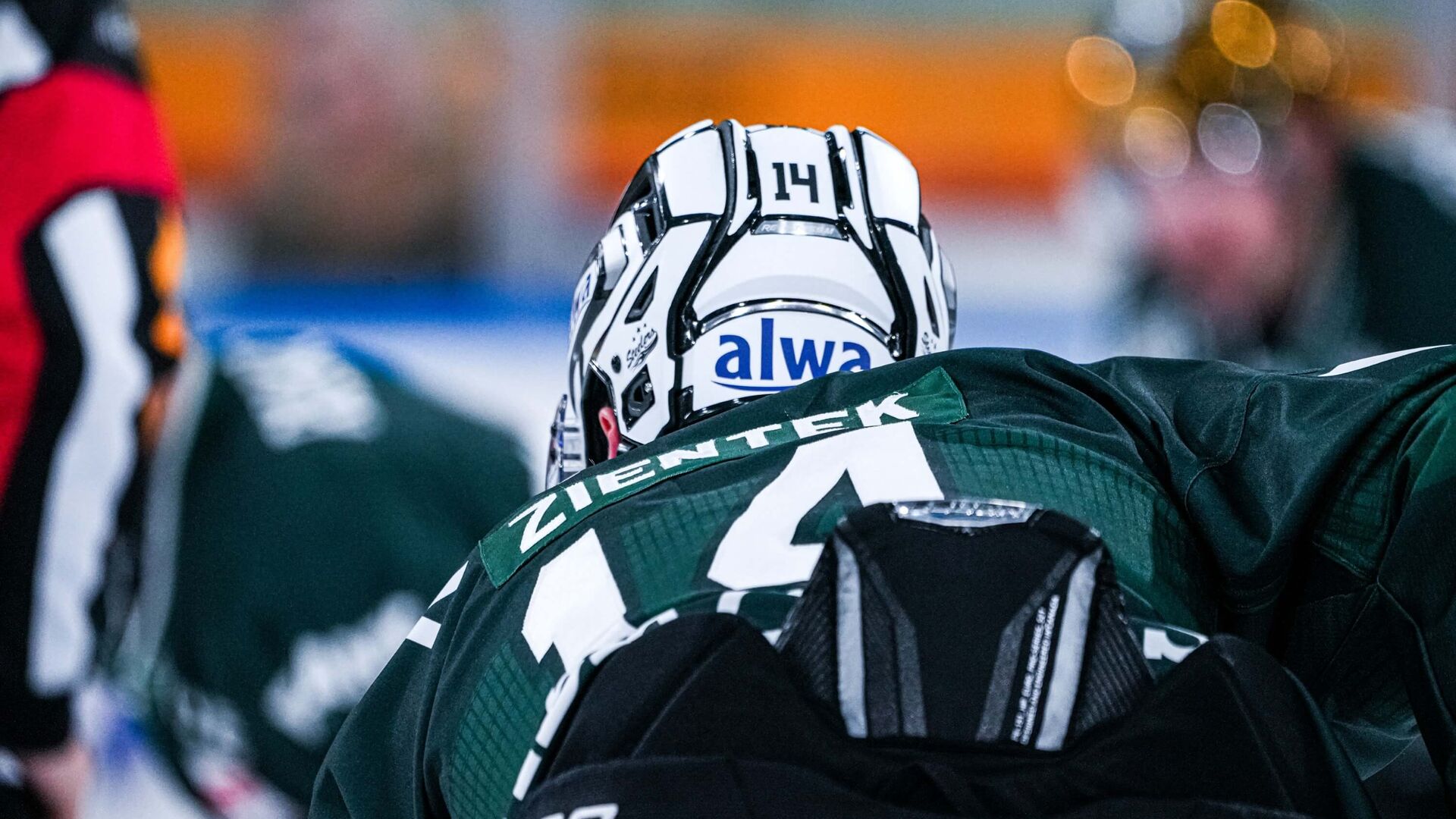 Steelers empfangen Düsseldorf und reisen nach Landshut