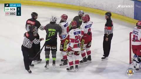 19.11.2024 - Highlights - Bietigheim Steelers vs. Deggendorfer SC
