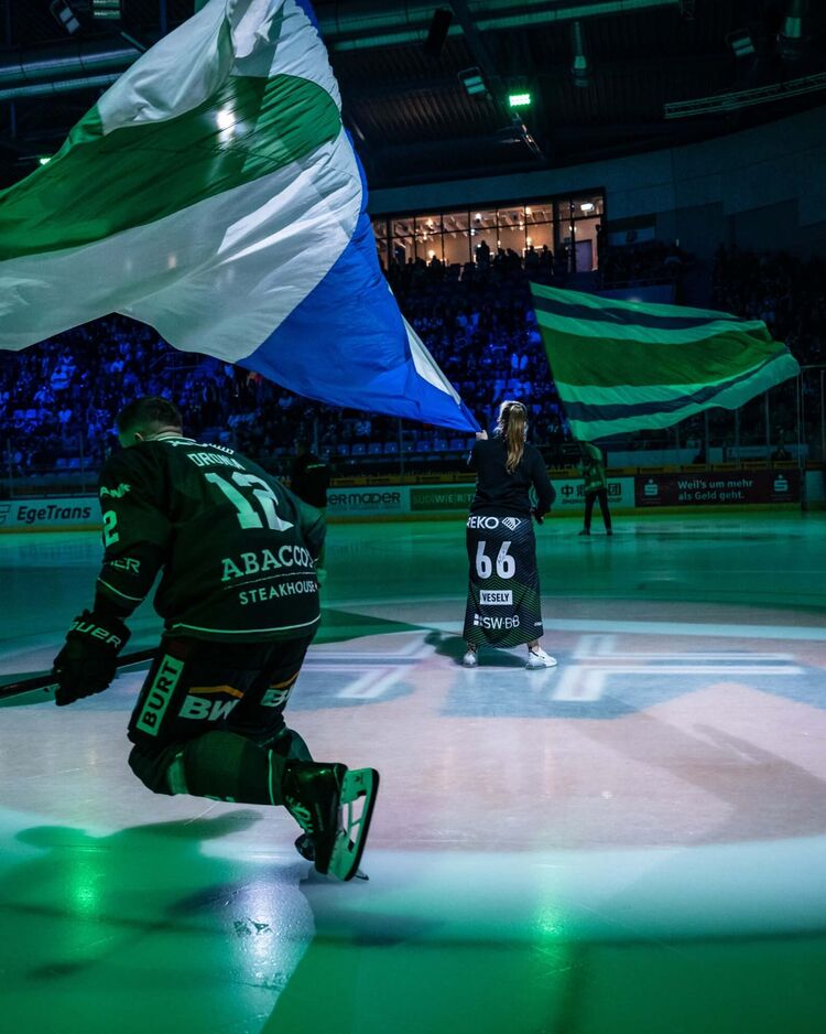 Steelers in neuem Licht