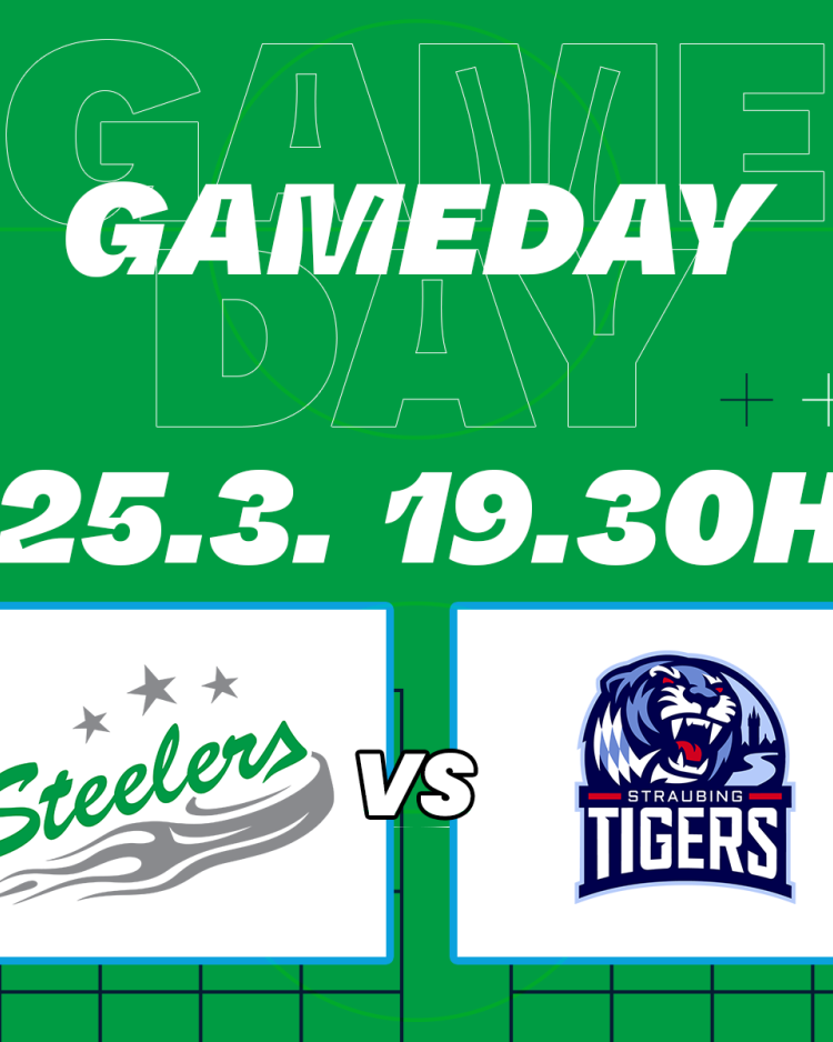Die Tigers kommen – heute geht es gegen Straubing