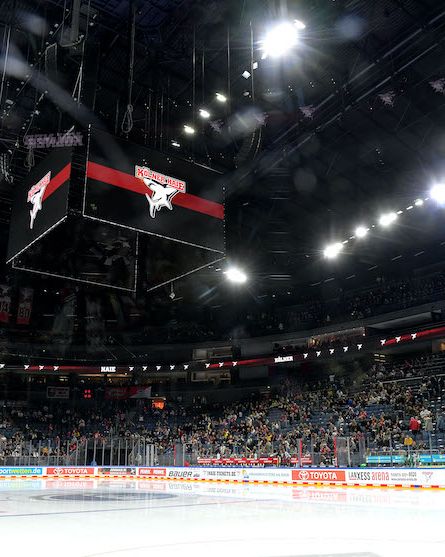 Steelers unterliegen den Kölner Haien mit 3:7