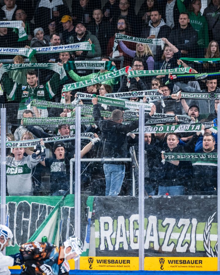 Under Review: Die Achterbahn im Ellental