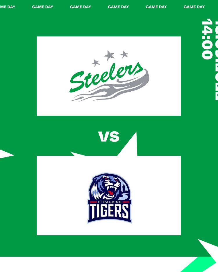 Morgen erstes Heimspiel – die Straubing Tigers sind zu Gast