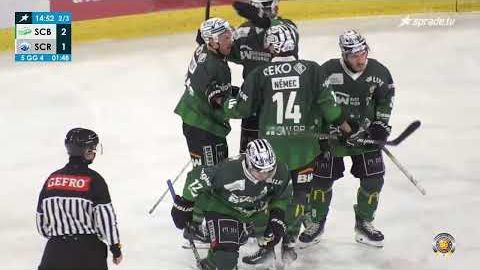 10.12.2024 - Highlights - Bietigheim Steelers vs. SC Riessersee