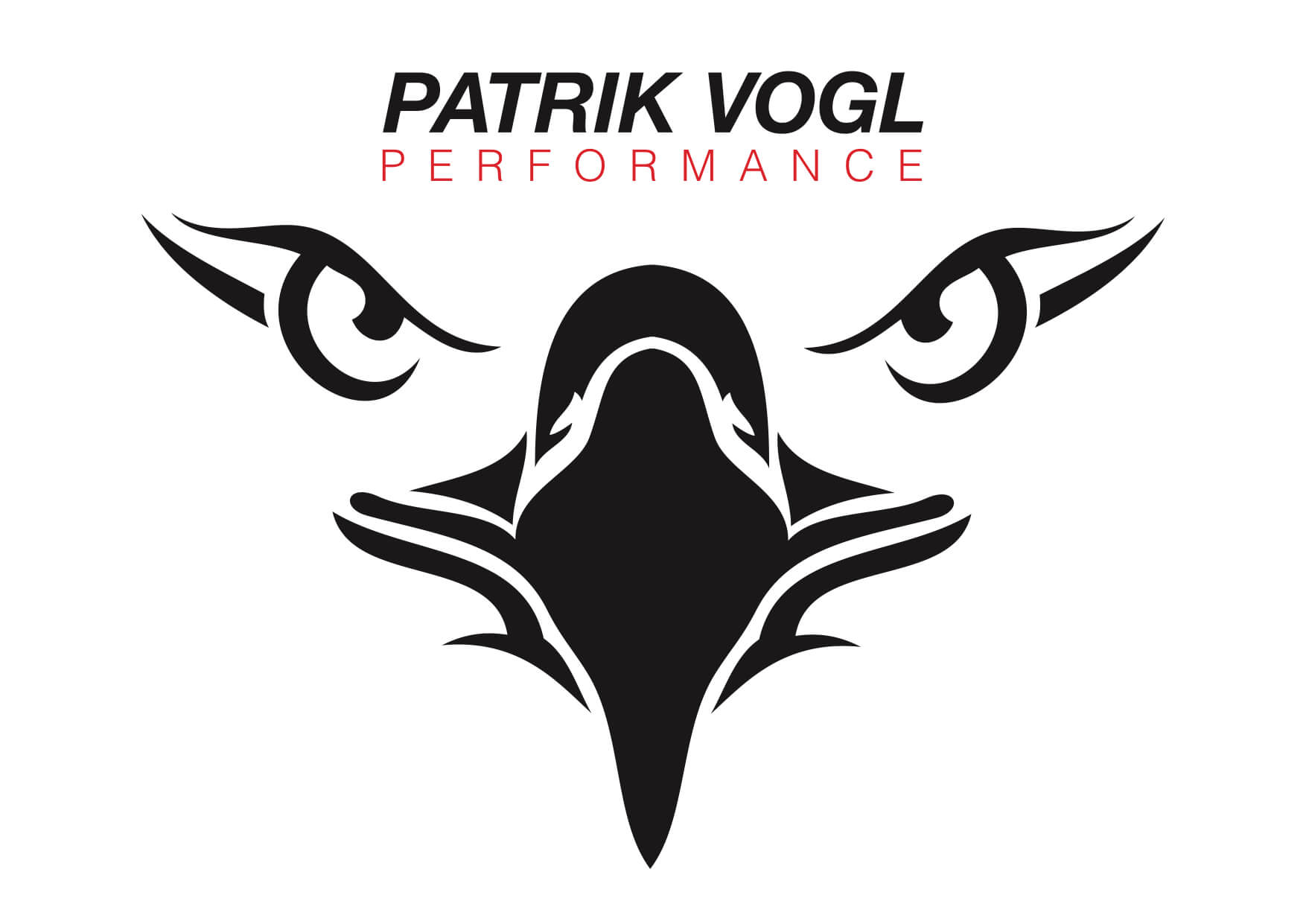 Patrik Vogl Performance